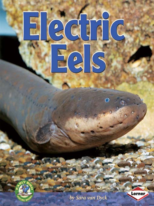 Title details for Electric Eels by Sara van Dyck - Wait list